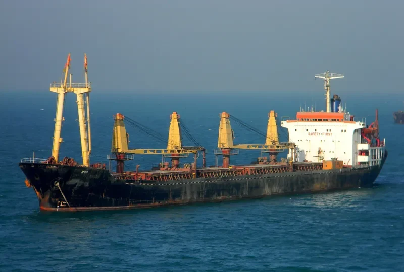 RANA Bulk Carrier IMO 7602596