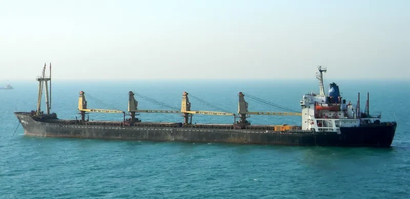 RANA Bulk Carrier IMO 7602596 photo 4