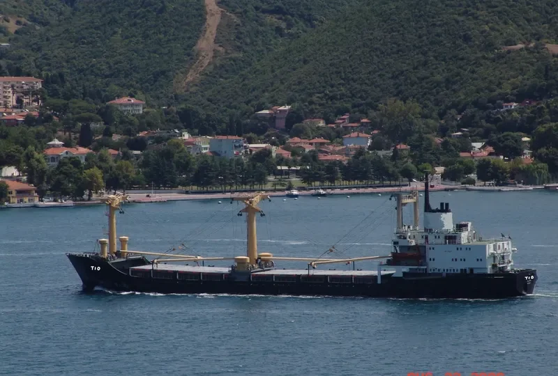 TIO General Cargo IMO 7604271 photo 3