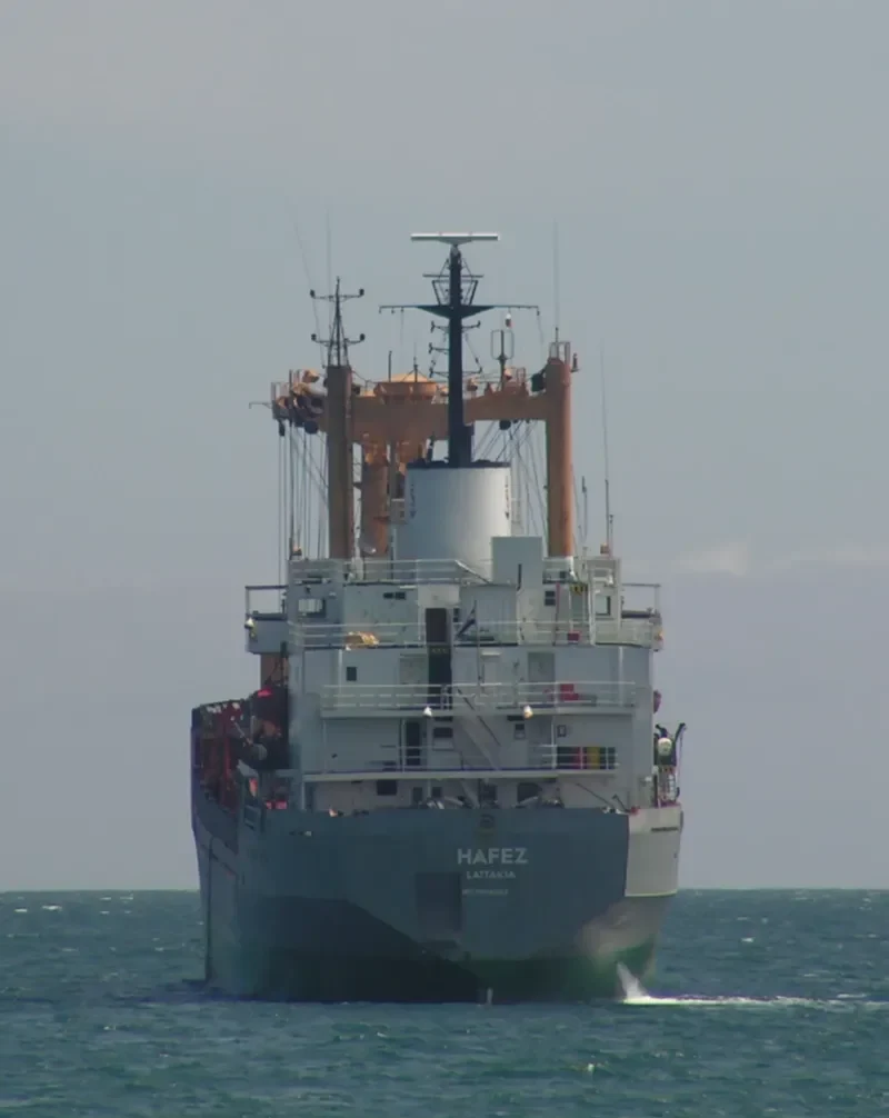 HAFEZ General Cargo IMO 7604283 photo 9