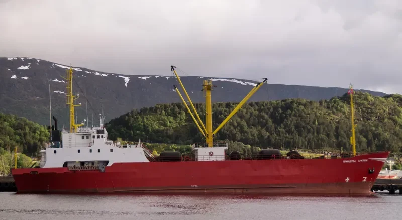 ARCTIC PRINCESS General Cargo IMO 7604403 photo 10