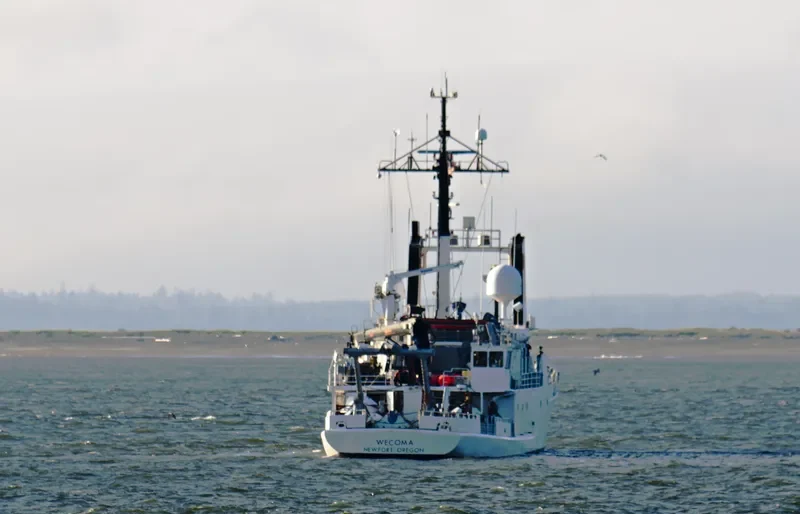 WECOMA General Cargo IMO 7604439 photo 2