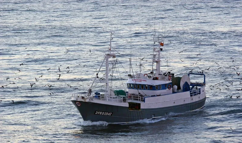 HERMANOS PINO LADRA Fishing Vessel IMO 7605902 photo 3
