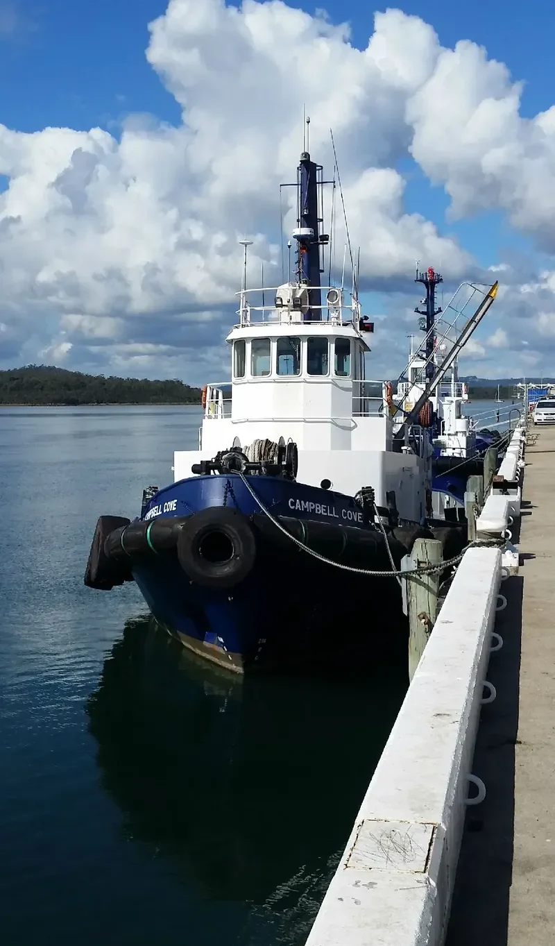 CAMPBELL COVE Tug Boat IMO 7606023 photo 2