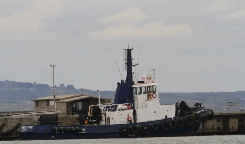 CAMPBELL COVE Tug Boat IMO 7606023 photo 8