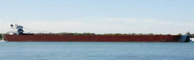EDWIN H.GOTT Bulk Carrier IMO 7606061 photo 7