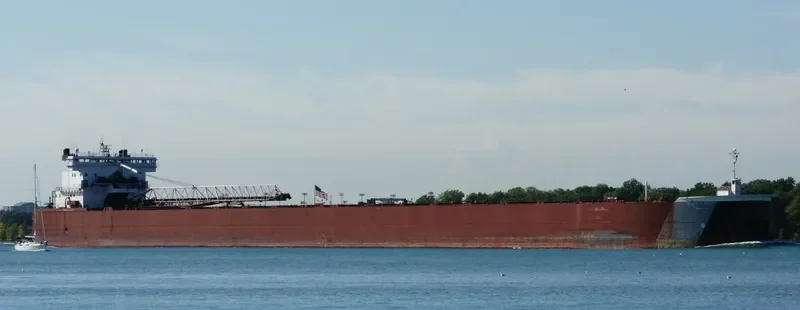 EDWIN H.GOTT Bulk Carrier IMO 7606061 photo 9