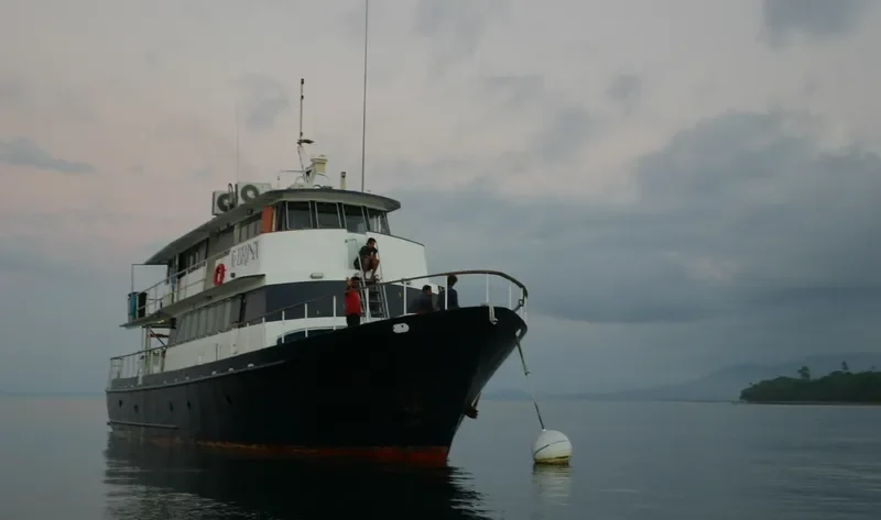 FEBRINA General Cargo IMO 7606463 photo 4