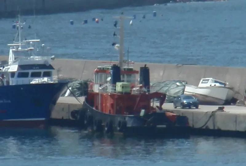 SILM III Tug Boat IMO 7606528 photo 2