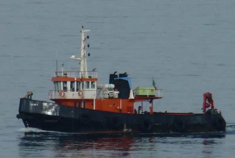 SILM III Tug Boat IMO 7606528 photo 3