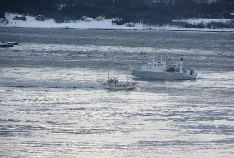 IWAN Research Vessel IMO 7607209 photo 4