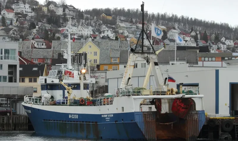 VLADIMIR ZAGOSKIN General Cargo IMO 7607273 photo 3