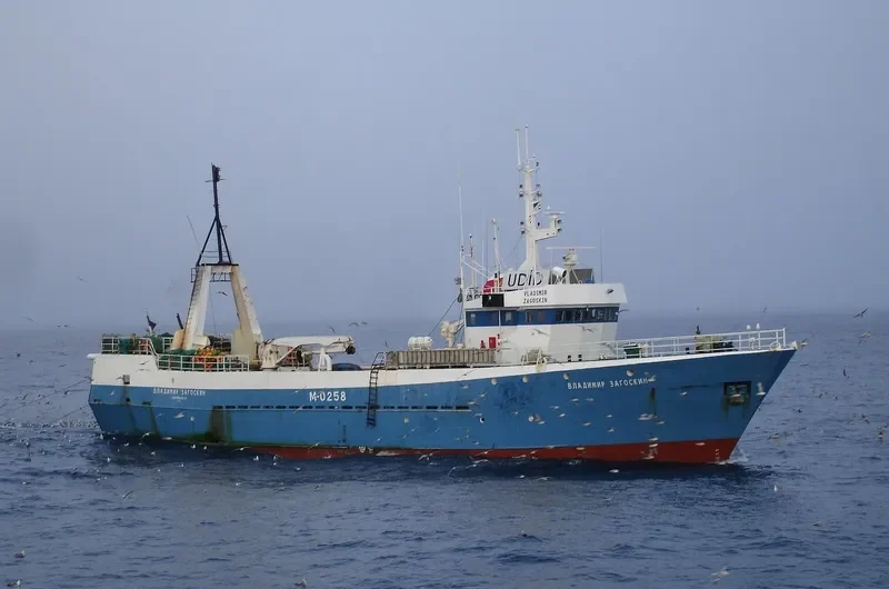 VLADIMIR ZAGOSKIN General Cargo IMO 7607273 photo 7