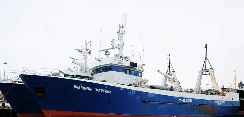 VLADIMIR ZAGOSKIN General Cargo IMO 7607273 photo 10