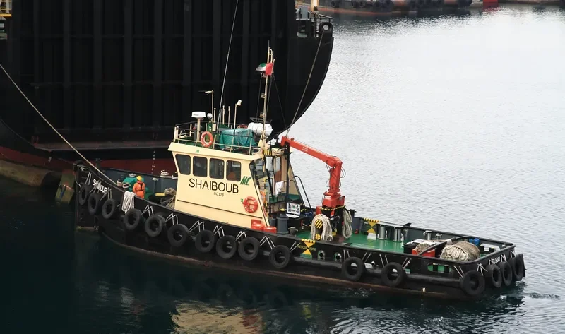 SHAIBOUB General Cargo IMO 7607558