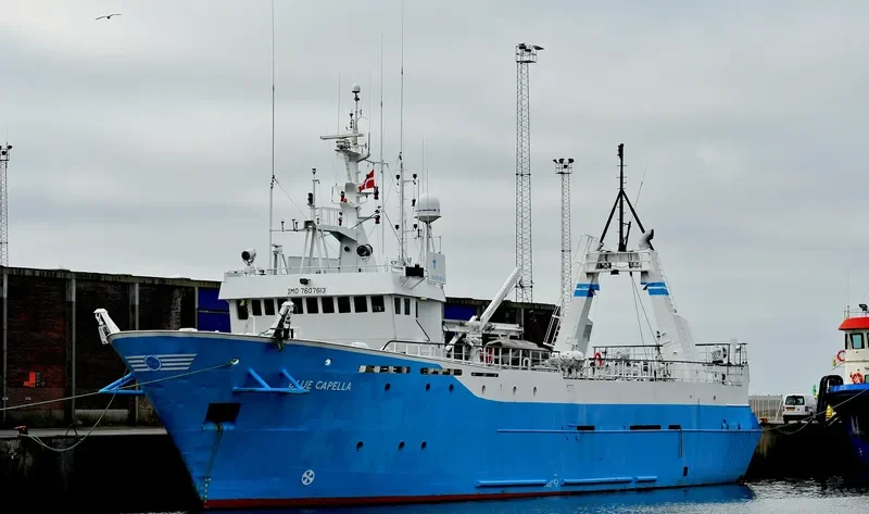 BLUE CAPELLA Offshore Supply Vessel IMO 7607613