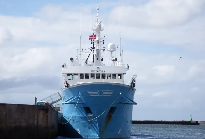BLUE CAPELLA Offshore Supply Vessel IMO 7607613 photo 2
