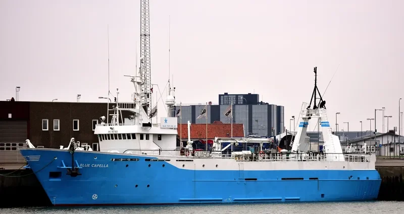 BLUE CAPELLA Offshore Supply Vessel IMO 7607613 photo 6