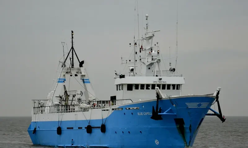 BLUE CAPELLA Offshore Supply Vessel IMO 7607613 photo 7