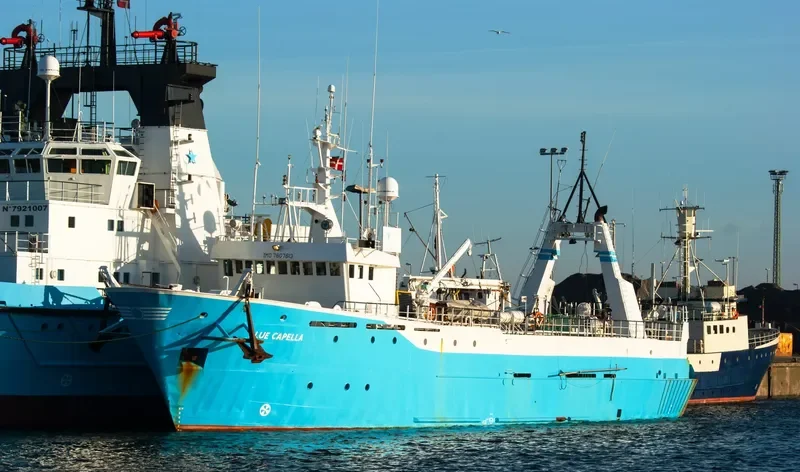 BLUE CAPELLA Offshore Supply Vessel IMO 7607613 photo 8