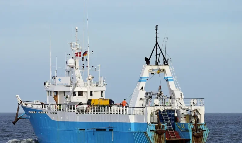 BLUE CAPELLA Offshore Supply Vessel IMO 7607613 photo 9