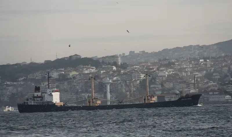 CAPTAIN ISMAEL Bulk Carrier IMO 7607742 photo 3