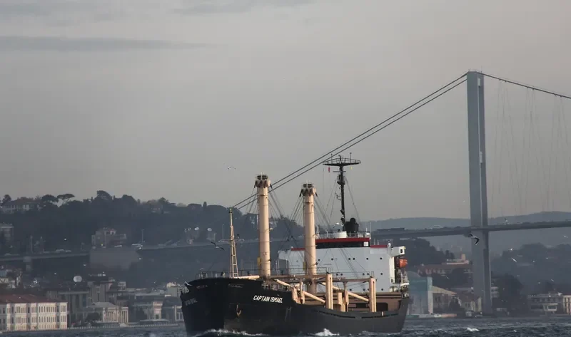 CAPTAIN ISMAEL Bulk Carrier IMO 7607742 photo 5