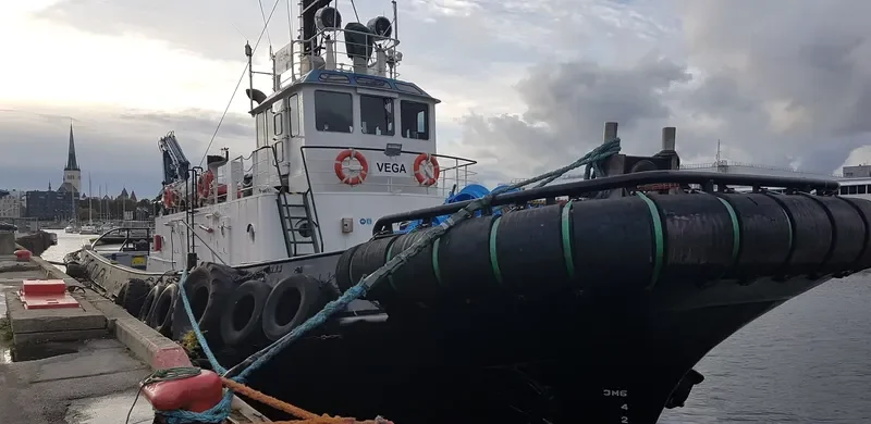 VEGA Tug Boat IMO 7607869 photo 2