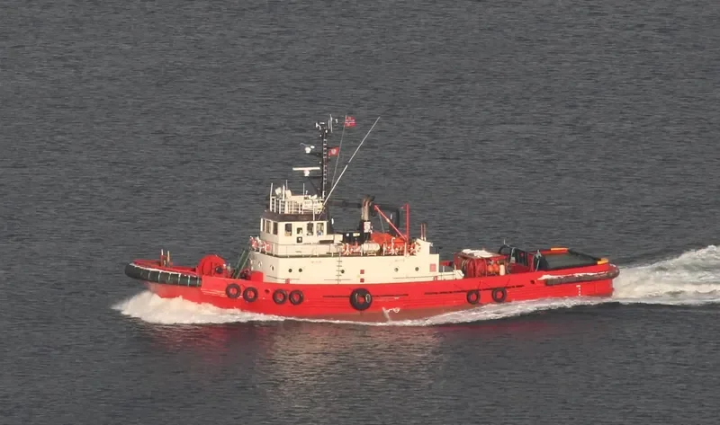 VEGA Tug Boat IMO 7607869 photo 3