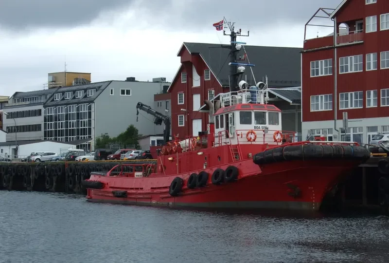 VEGA Tug Boat IMO 7607869 photo 9