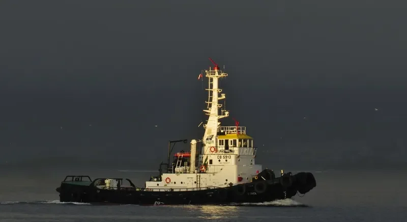 PETREL Tug Boat IMO 7608007 photo 3