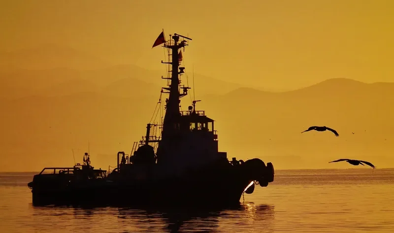 PETREL Tug Boat IMO 7608007 photo 7