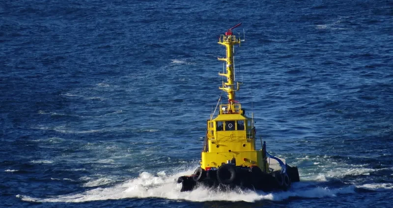 PETREL Tug Boat IMO 7608007 photo 9