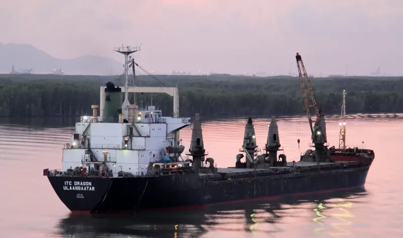 ITC DRAGON Bulk Carrier IMO 7608344 photo 2