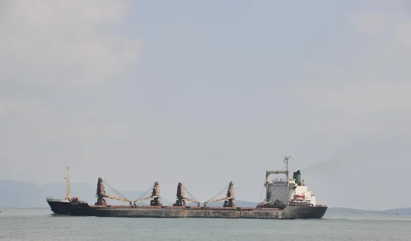ITC DRAGON Bulk Carrier IMO 7608344 photo 3