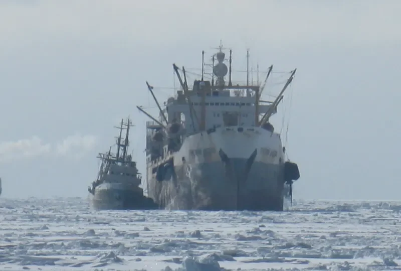 GRIGORIY DIDENKO Fishing Vessel IMO 7608837 photo 3