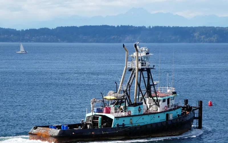 ISLAND VIKING Tug Boat IMO 7609843 photo 2