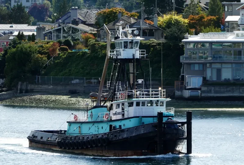 ISLAND VIKING Tug Boat IMO 7609843 photo 4