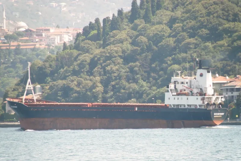 GOODWAY General Cargo IMO 7610036 photo 7