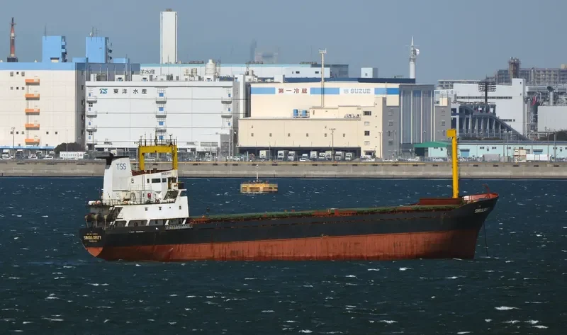 ALFA General Cargo IMO 7610050 photo 2