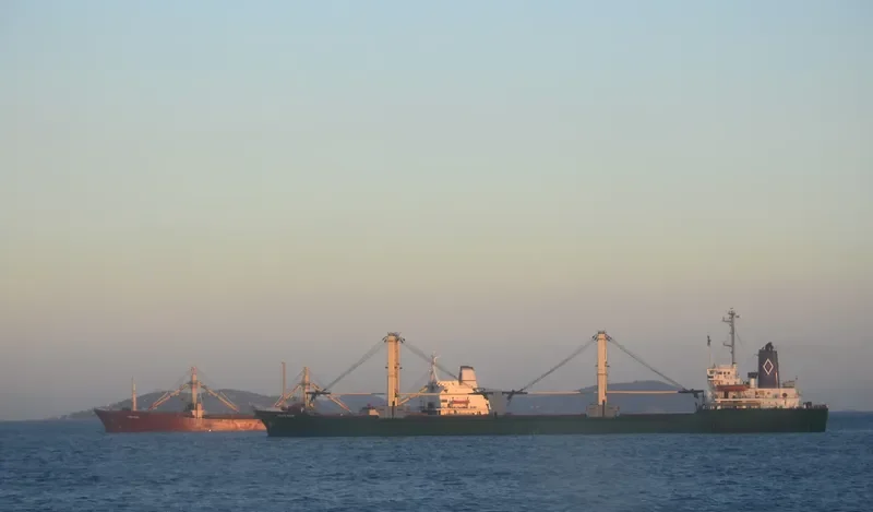 MEVLANA Bulk Carrier IMO 7610749 photo 2