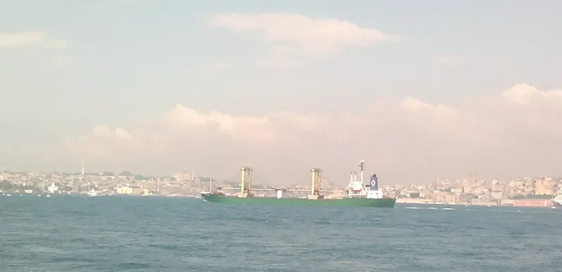 MEVLANA Bulk Carrier IMO 7610749 photo 4