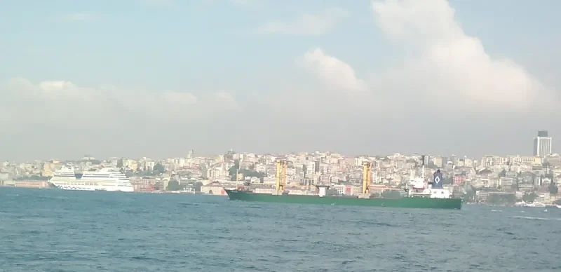 MEVLANA Bulk Carrier IMO 7610749 photo 5