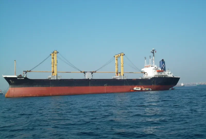 MEVLANA Bulk Carrier IMO 7610749 photo 8