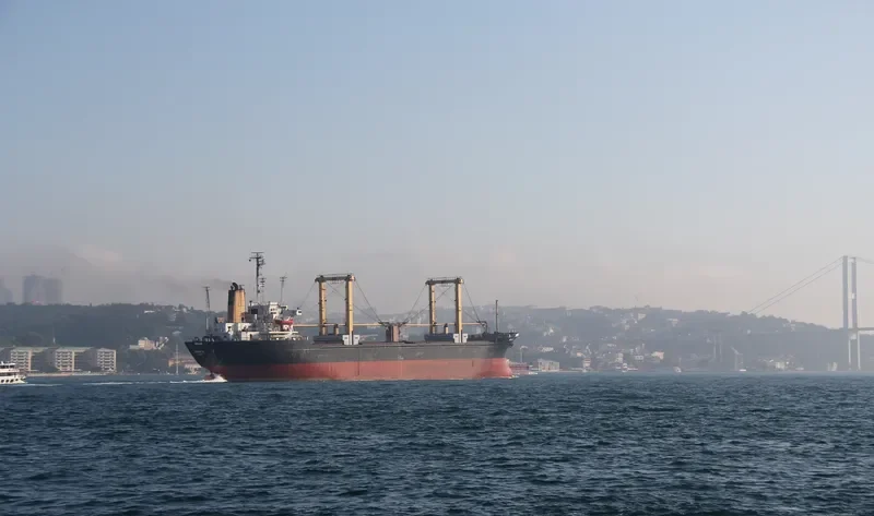 MEVLANA Bulk Carrier IMO 7610749 photo 9