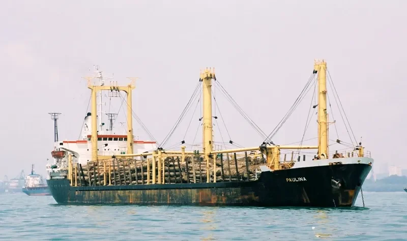 AMERICA FOREST Bulk Carrier IMO 7610763