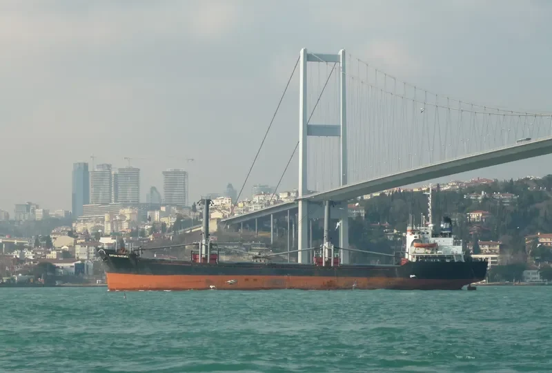 CAPTAIN MUSTAFA General Cargo Vessel IMO 7610787 photo 3