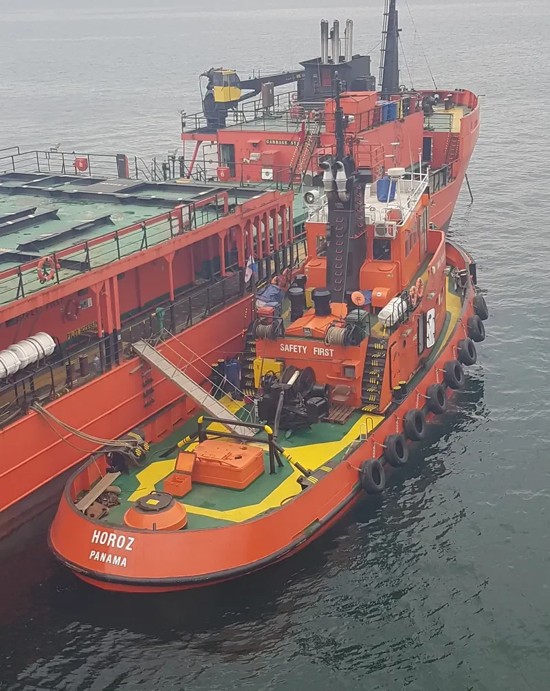 HOROZ Tug Boat IMO 7610830