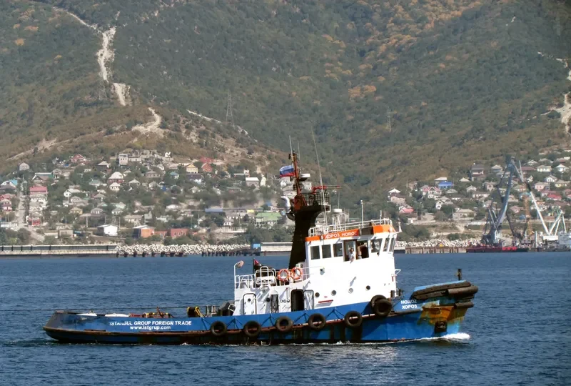 HOROZ Tug Boat IMO 7610830 photo 8