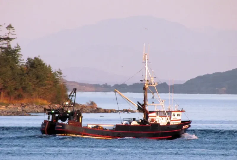 ANITA J Fishing Vessel IMO 7611391 photo 3